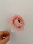 Formation Fleurs en Wafer Paper