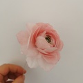 Fleurs en Wafer Paper