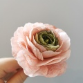 Fleurs en Wafer Paper