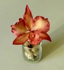 Orchidée en sucre (brassolaeliacattleya)