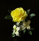 Rose jaune