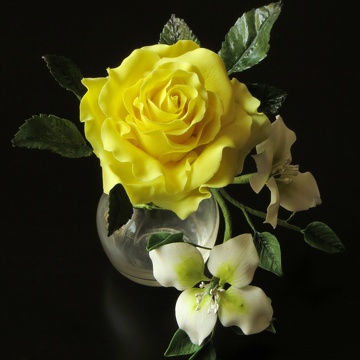 Rose jaune