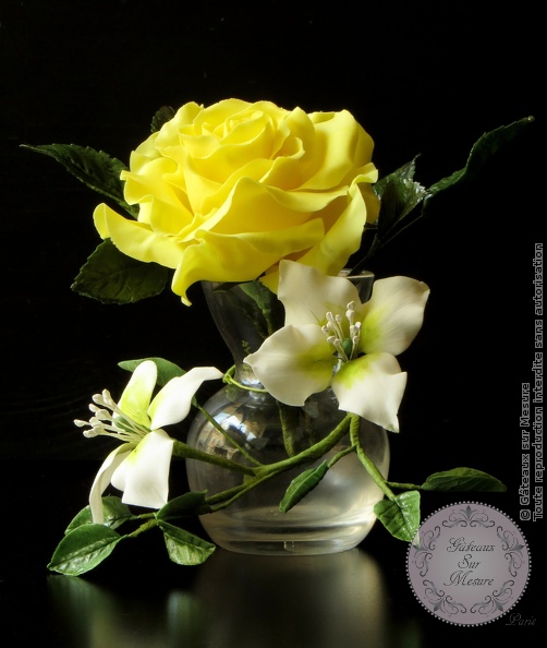 Rose jaune