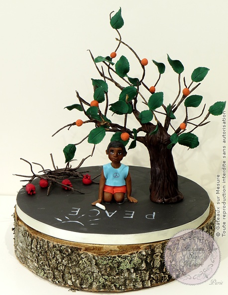 Cake Design - Peace - Gâteaux sur Mesure Paris - cake design, cake designer, ecole cake design, Paris, peace