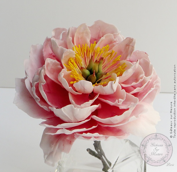 Cake Design - Pivoine rose - Gâteaux sur Mesure Paris - cakedesign, cakeschool, ecole cake design, fleurs en sucre, formation cake design, formation professionnelle, Galina Duverne, gateau design, gateaux personnalisés, Paris, peony, pièce montée, pivoine en sucre, sugarpeony, wedding cake