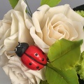 Nature et coccinelles