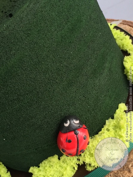 Cake Design - Nature et coccinelles - Gâteaux sur Mesure Paris Cake Design - Nature et coccinelles - Gâteaux sur Mesure Paris - birthdaycake, cake, cakedesign, chocolat, fondant, formation cake design, gateaux personnalisés, gateaux sur mesure, luxe, luxeevent, sugarart, sugarflower, sugarflowers