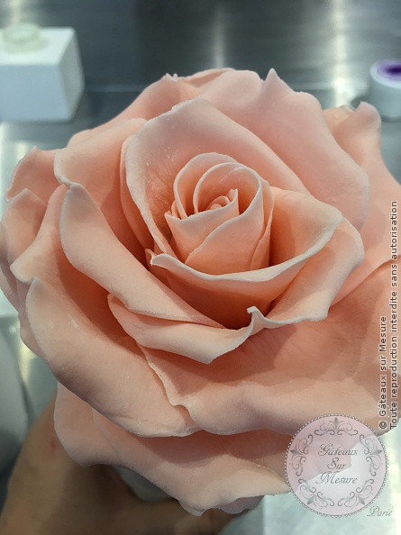 Cake Design - Formation Bases du Cake Design 5 jours - Rose en sucre - Gâteaux sur Mesure Paris - cake design course, cake design training, Ecole de Cake Design de Paris, formation, formation cake design, France, Paris