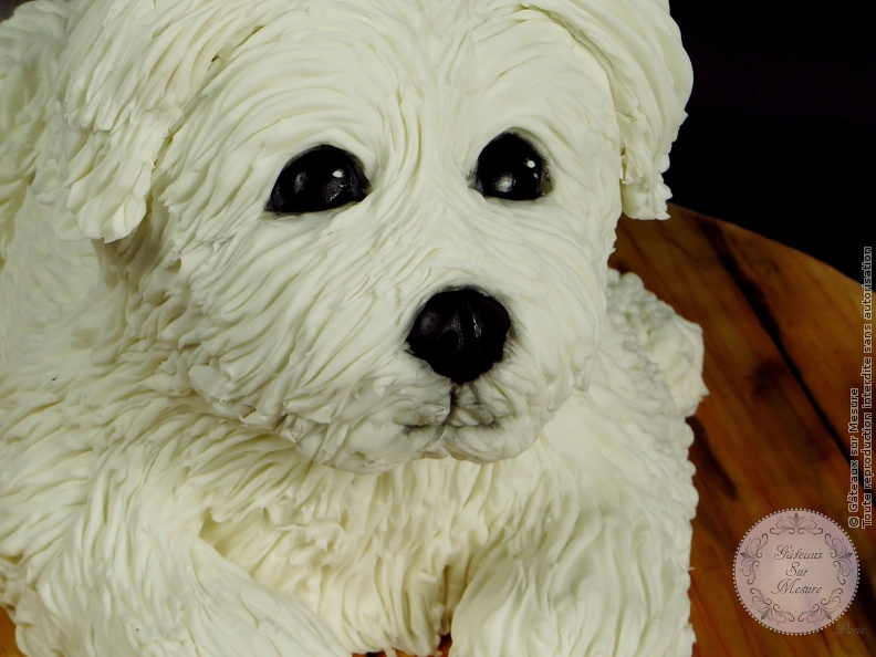 Cake Design - Gâteau Chien - Petit Bichon - Gâteaux sur Mesure Paris - 3d cake, cake, food, formation cake design, gateau 3D, gateaux personnalisés, gateaux spectaculaires, gateaux sur mesure, Paris, sculpted cake