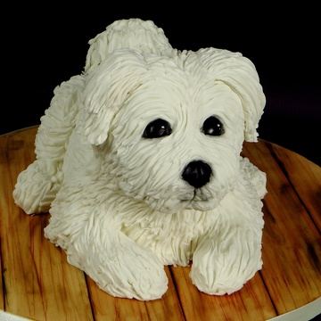 Gâteau Chien - Petit Bichon