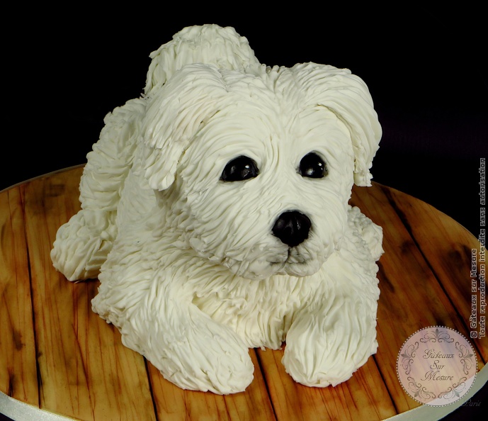 Cake Design - Gâteau Chien - Petit Bichon - Gâteaux sur Mesure Paris - 3d cake, cake, food, formation cake design, gateau 3D, gateaux personnalisés, gateaux spectaculaires, gateaux sur mesure, Paris, sculpted cake