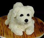 Gâteau Chien - Petit Bichon