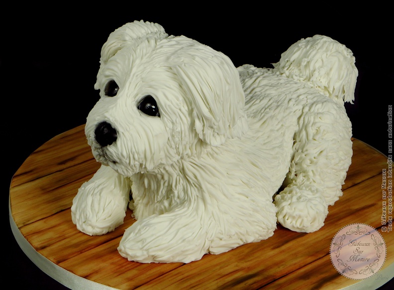 Cake Design - Gâteau Chien - Petit Bichon - Gâteaux sur Mesure Paris - 3d cake, cake, food, formation cake design, gateau 3D, gateaux personnalisés, gateaux spectaculaires, gateaux sur mesure, Paris, sculpted cake