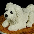 Gâteau Chien - Petit Bichon