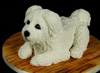 Gâteau Chien - Petit Bichon