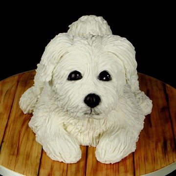 Gâteau Chien - Petit Bichon