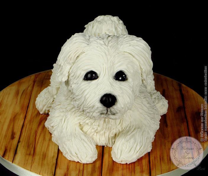 Cake Design - Gâteau Chien - Petit Bichon - Gâteaux sur Mesure Paris - 3d cake, cake, food, formation cake design, gateau 3D, gateaux personnalisés, gateaux spectaculaires, gateaux sur mesure, Paris, sculpted cake