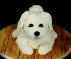 Gâteau Chien - Petit Bichon