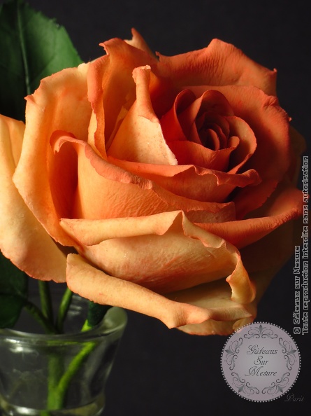Cake Design - Rose en pâte de haricots blancs - Gâteaux sur Mesure Paris - beanpaste, formation, formation cake design, formation professionnelle, luxe, luxeevent, Paris, rose, sugar roses, sugarflower<br />
<b>Warning</b>: Undefined array key