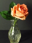 Rose en pâte de haricots blancs