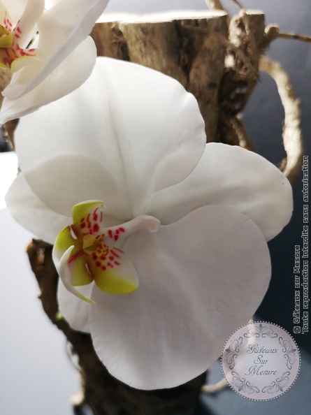 Cake Design - Orchidée en sucre Phalaenopsis - Gâteaux sur Mesure Paris - cakedecorating, cakedesign, flowers, luxe, luxevent, luxury, orchid, orchidee, Paris, rononcule, sugarflowers, waferpaper, wedding, weddingluxe