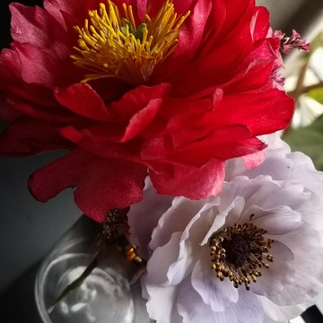 Wafer paper peony and sugar anemone