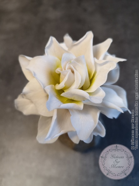 Cake Design - Gardenia rice paste lower - Gâteaux sur Mesure Paris - flower, gardenia, luxury, ricepaste, sugar, sugarart, sugarartist, sugarflower, sugarflowers, wedding, weddingdestination