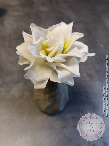 Cake Design - Gardenia rice paste lower - Gâteaux sur Mesure Paris - flower, gardenia, luxury, ricepaste, sugar, sugarart, sugarartist, sugarflower, sugarflowers, wedding, weddingdestination