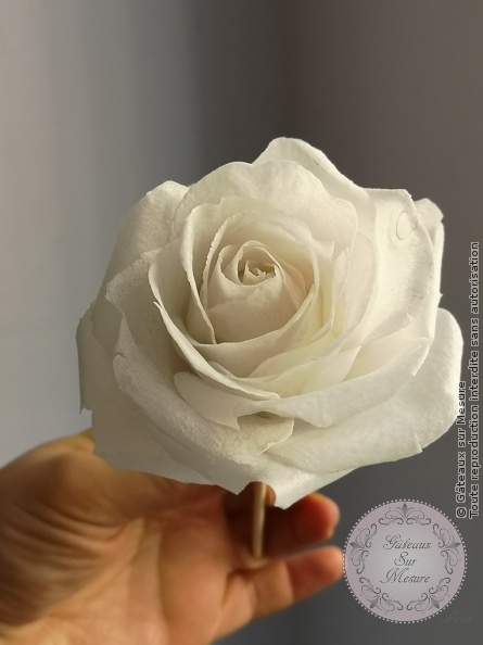 Cake Design - Formation intégrale 2019 - Gâteaux sur Mesure Paris - cake design course, cake design training, cakedesign, chocolat, Ecole de Cake Design de Paris, fleurs, fleurs en sucre, formation, formation cake design, formation professionnelle, France, glace royale, modelage, Paris, valrhona, wedding cake