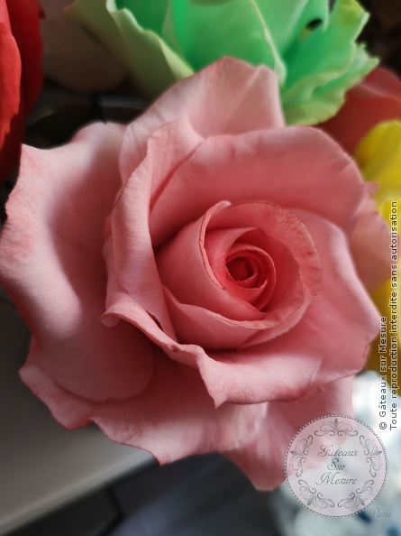 Cake Design - Formation intégrale Cake Design 20 jours - Gâteaux sur Mesure Paris - cake decorating school, cake design, cake design school, cake designer, ecole cake design, formation cake design, formation professionnelle, gateaux sur mesure, Paris, pastry school<br />
<b>Warning</b>: Undefined array key