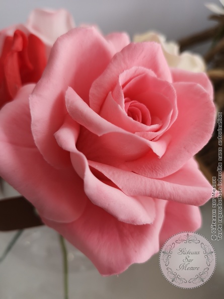 Cake Design - Formation Fleurs en Sucre - Gâteaux sur Mesure Paris - 2 ans, cake design school, ecole cake design, fleurs, fleurs en branche, fleurs en sucre, formation cake design, formation professionnelle, orchidee, Paris, rose en sucre, workshop