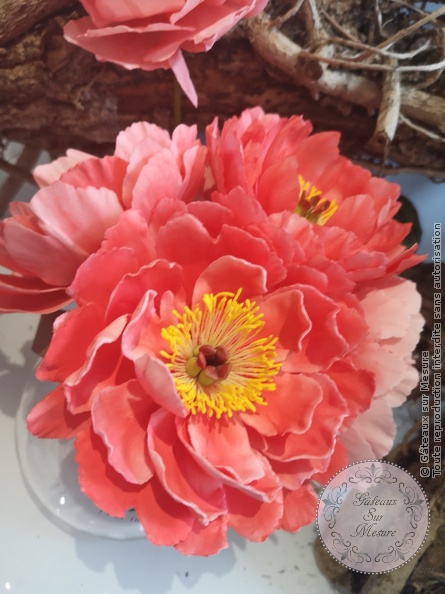 Cake Design - Formation Fleurs en Sucre - Gâteaux sur Mesure Paris - 2 ans, cake design school, ecole cake design, fleurs, fleurs en branche, fleurs en sucre, formation cake design, formation professionnelle, orchidee, Paris, rose en sucre, workshop