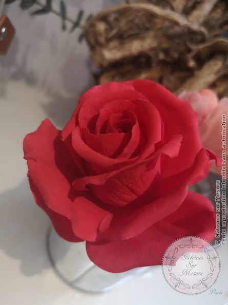 Cake Design - Formation Fleurs en Sucre - Gâteaux sur Mesure Paris - atelier, cake design course, cake design training, cakedesign, Ecole de Cake Design de Paris, fleurs en sucre, flowers, formation, formation cake design, France, Paris, pate a sucre, sucre