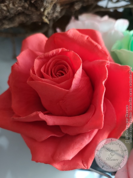 Cake Design - Formation Fleurs en Sucre - Gâteaux sur Mesure Paris Cake Design - Formation Fleurs en Sucre - Gâteaux sur Mesure Paris - atelier, cake design course, cake design training, cakedesign, Ecole de Cake Design de Paris, fleurs en sucre, flowers, formation, formation cake design, France, Paris, pate a sucre, sucre