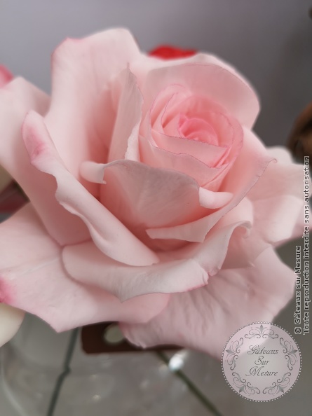Cake Design - Formation Fleurs en Sucre - Gâteaux sur Mesure Paris Cake Design - Formation Fleurs en Sucre - Gâteaux sur Mesure Paris - atelier, cake design course, cake design training, cakedesign, Ecole de Cake Design de Paris, fleurs en sucre, flowers, formation, formation cake design, France, Paris, pate a sucre, sucre