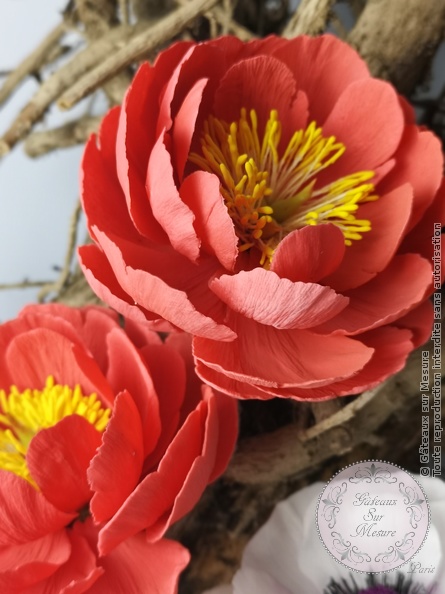 Cake Design - Fleur en sucre - Gâteaux sur Mesure Paris - atelier, cakedesign, fleurs en sucre, flowers, formation, Paris, pate a sucre, sucre