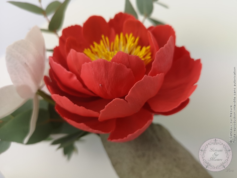 Cake Design - Formation Fleurs en Sucre - Gâteaux sur Mesure Paris - atelier, cake design course, cake design training, cakedesign, Ecole de Cake Design de Paris, fleurs en sucre, flowers, formation, formation cake design, France, Paris, pate a sucre, sucre