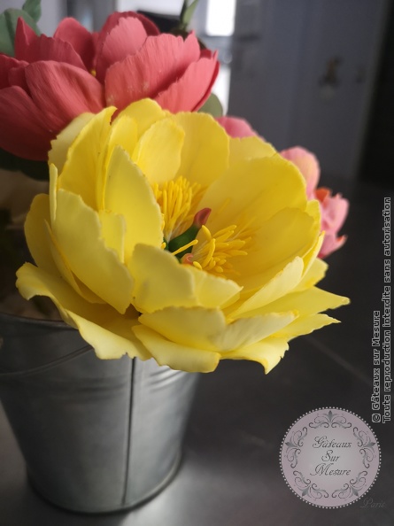 Cake Design - Formation Fleurs en Sucre - Gâteaux sur Mesure Paris - atelier, cake design course, cake design training, cakedesign, Ecole de Cake Design de Paris, fleurs en sucre, flowers, formation, formation cake design, France, Paris, pate a sucre, sucre