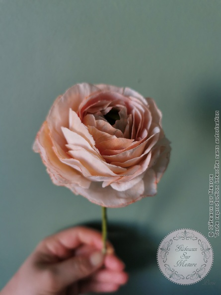 Cake Design - Fleurs en Wafer Paper - Gâteaux sur Mesure Paris - anemone, cakedesign, ecolecakedesign, fleurs, formation, Paris, rose, waferpaper