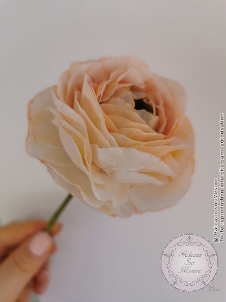Cake Design - Fleurs en Wafer Paper - Gâteaux sur Mesure Paris - anemone, cakedesign, ecolecakedesign, fleurs, formation, Paris, rose, waferpaper