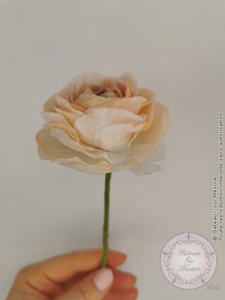 Cake Design - Fleurs en Wafer Paper - Gâteaux sur Mesure Paris - anemone, cakedesign, ecolecakedesign, fleurs, formation, Paris, rose, waferpaper