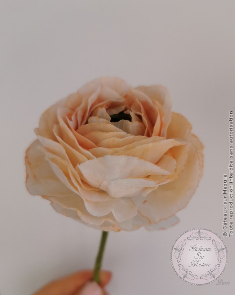 Cake Design - Formation Fleurs en Wafer Paper - Gâteaux sur Mesure Paris - anemone, cake design course, cake design training, cakedesign, Ecole de Cake Design de Paris, ecolecakedesign, fleurs, formation, formation cake design, France, Paris, rose, waferpaper