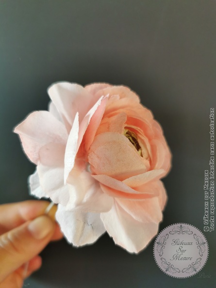 Cake Design - Formation Fleurs en Wafer Paper - Gâteaux sur Mesure Paris Cake Design - Formation Fleurs en Wafer Paper - Gâteaux sur Mesure Paris - cake design, cake design course, cake design training, Ecole de Cake Design de Paris, fleurs, fleurs comestibles, formation, formation cake design, France, Paris, waferpaper