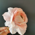 Fleurs en Wafer Paper