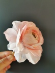 Fleurs en Wafer Paper