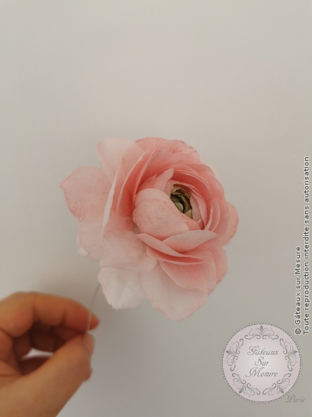 Fleurs en Wafer Paper