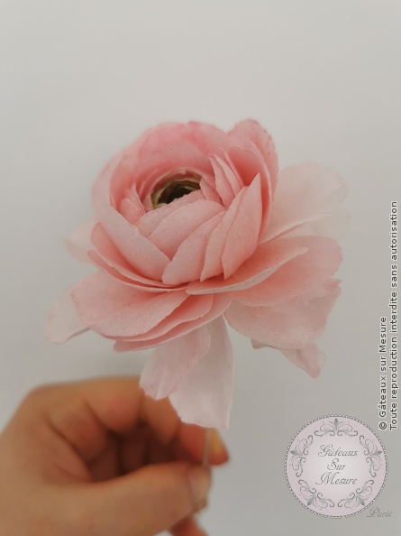 Fleurs en Wafer Paper