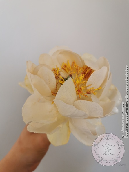 Cake Design - Formation Fleurs en Wafer Paper - Gâteaux sur Mesure Paris - cake design, cake design course, cake design training, Ecole de Cake Design de Paris, fleurs, fleurs comestibles, formation, formation cake design, France, Paris, waferpaper