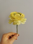 Formation Fleurs en Wafer Paper