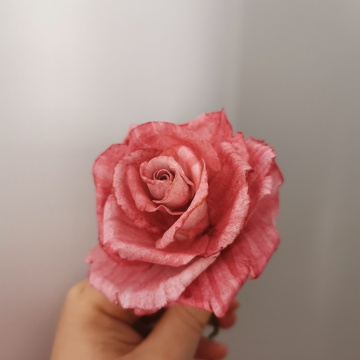 Formation Fleurs en Wafer Paper